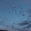 Fête Villageoise 2017